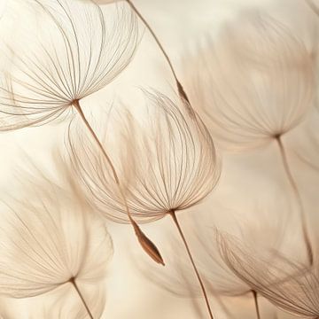 Feather blossom beauty by Poster Art Shop