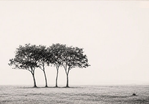 Solitário 01