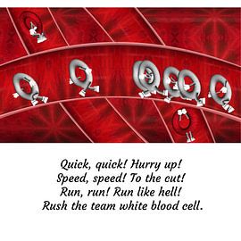 White blood cells by Grüntyers .