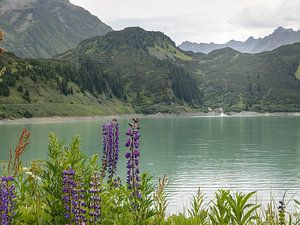 Kleurrijke Kopssee sur SchumacherFotografie