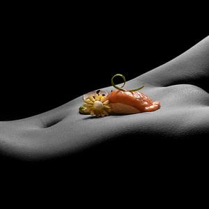 Nigiri sushi design