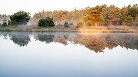 Schweigen von Miranda Ten Hout