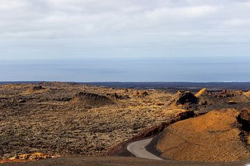 Bunte Vulkanlandschaft auf der Insel Lanzarote von Reiner Conrad