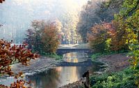 Herfst  van Marco van de Pol thumbnail