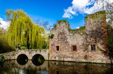 Reflection ruin Schöntal in Aschaffenburg by Dieter Walther