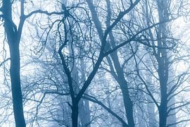 Bäume im nebligen Wald von Inge van den Brande