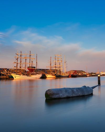 Frisian Harbour, Whale