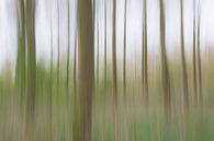 moving trees by Jaco Verheul thumbnail