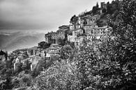 Montefegatesi by Frank Andree thumbnail