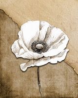 Coquelicot sur papier et toile de jute