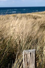 Baltic Sea beach by Thomas Jäger
