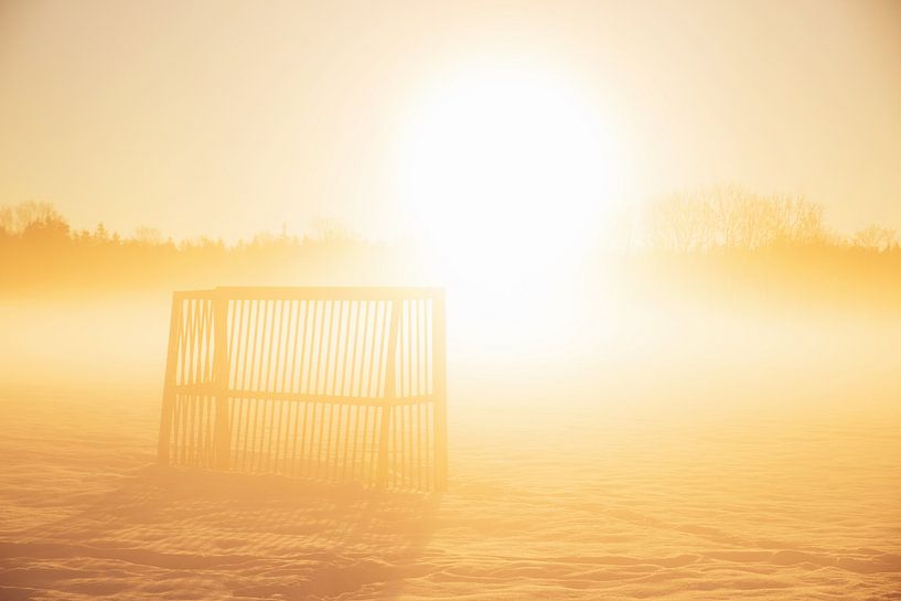 Soccer goal outside on a snowy field in the yellow morning s by SusaZoom