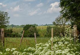 Uitzicht op de Molen op de Vrouwenheide by John Kreukniet