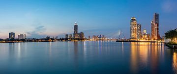 Skyline Rotterdam aan de Nieuwe Maas van Peet de Rouw