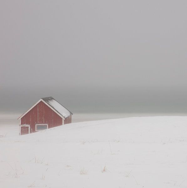 Minimalistische Schneelandschaft Lofoten von Louis Obbens