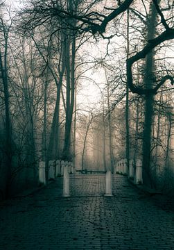 Hemmensebos part 68 van Tania Perneel