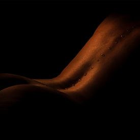 artistiek naakt, nude van Yvette Bauwens