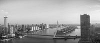 Panorama Rotterdam in zwartwit van Ilya Korzelius thumbnail