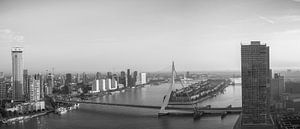 Panorama Rotterdam in zwartwit van Ilya Korzelius