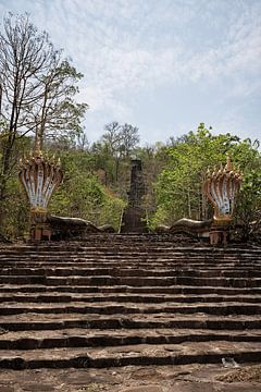 Gouden beelden op een rij bij Wat Phou Salao van Frank Photos