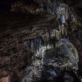 Höhle von Ingrid Stel