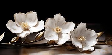 Bloemen van Imagine