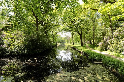Mooie reflectie in het water. De Manteling