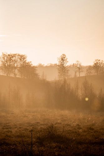 Landschap in Warme Nevel Zachte Overgangen van Licht en Vorm