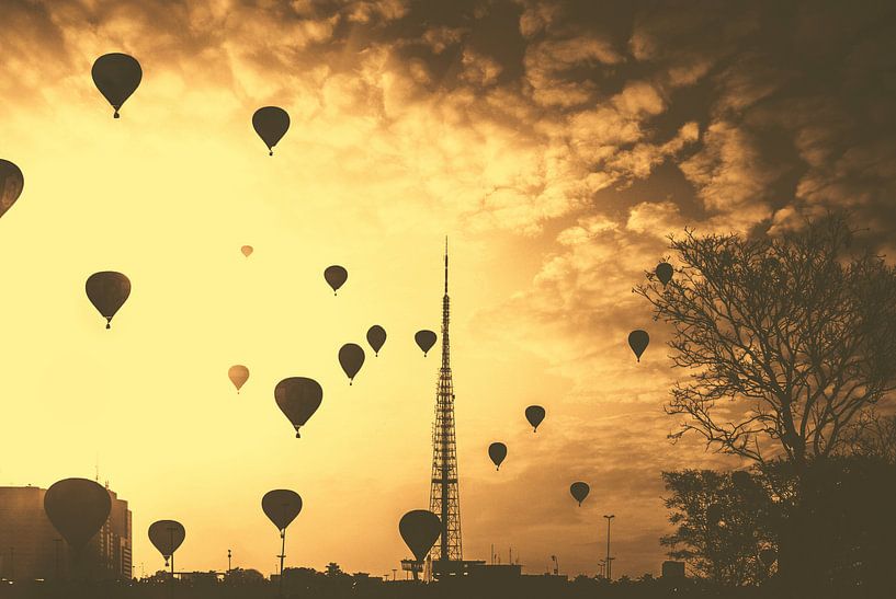 Balloons over Brasilia par Splash Gallery