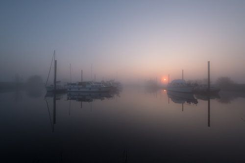 Mistige haven