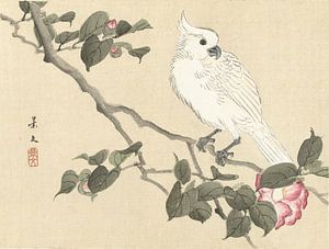 Cacatoès blanc sur une branche de camélia par Matsumura Keibun - 1892