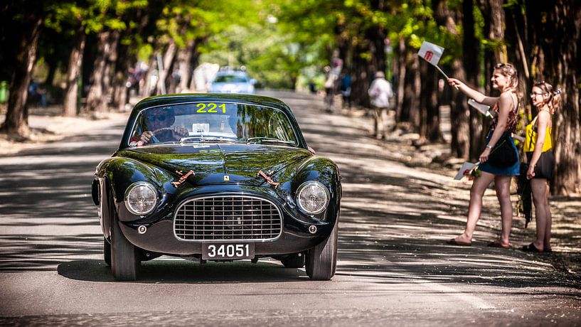 Forza Ferrari! van Michiel Mulder