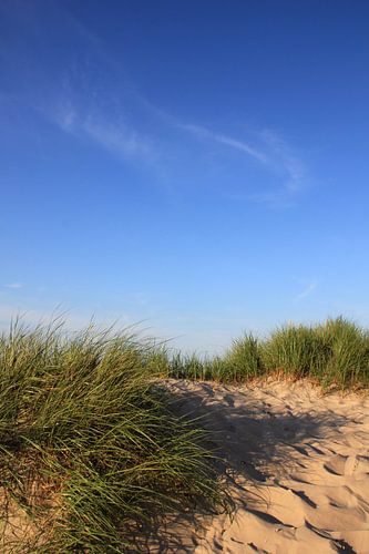 Full play by Ostsee Bilder