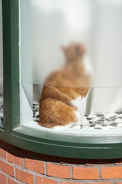 rote Katze in einem Fenster von Karin vanBijlevelt