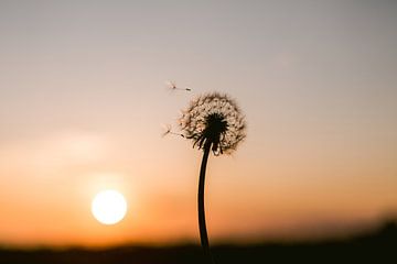 zonsondergang in nederland met prachtige pasteltinten van Lindy Schenk-Smit