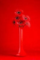 Couleurs 03 Rouge