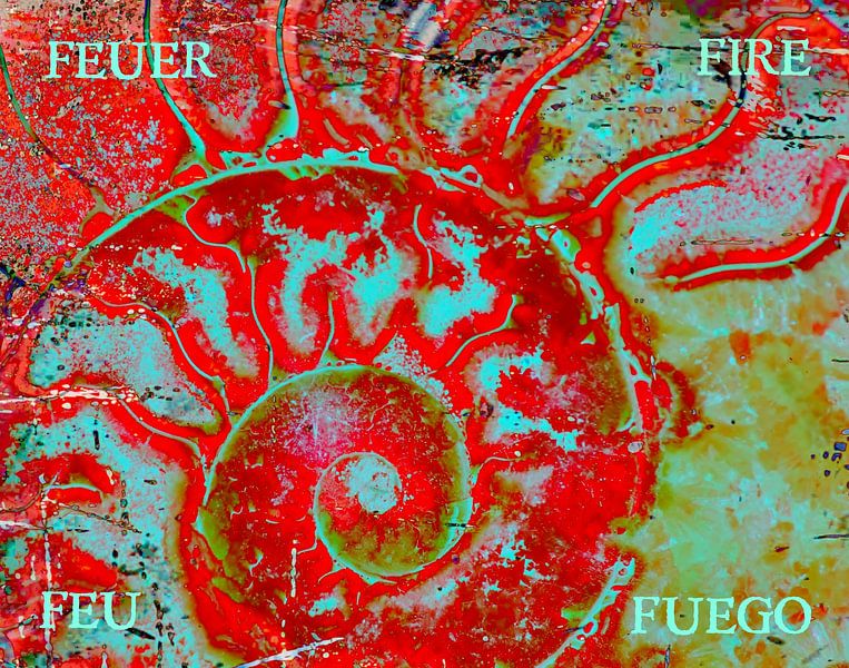 versteinerer Ammonit als Element Feuer mixed media von Werner Lehmann
