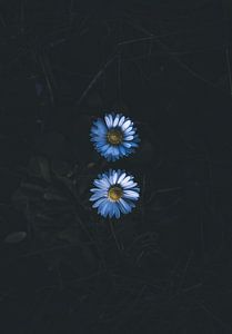 Fragile