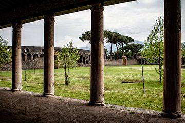 pompei in italie van Eric van Nieuwland