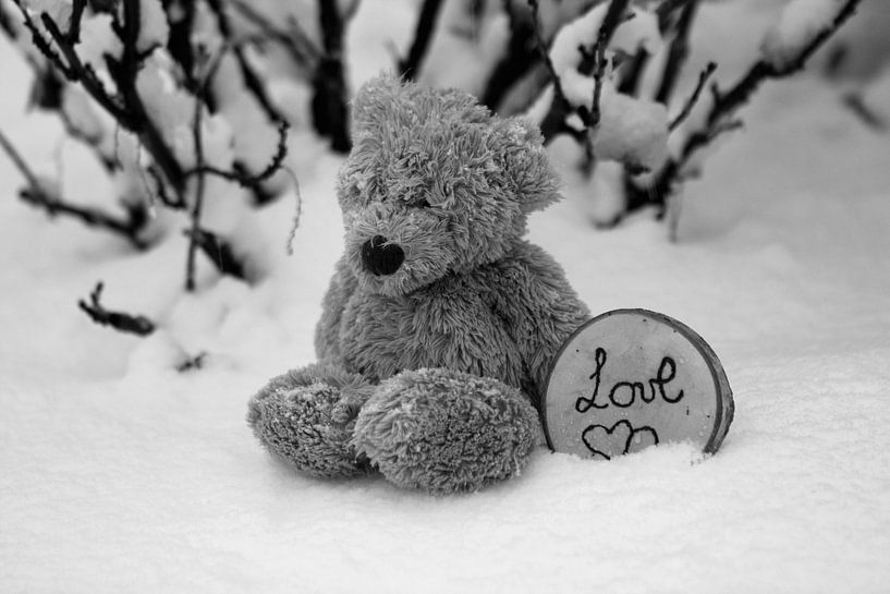 snow, bear, love, black and white by Eveline De keukelaere