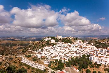 Casares van John Monster