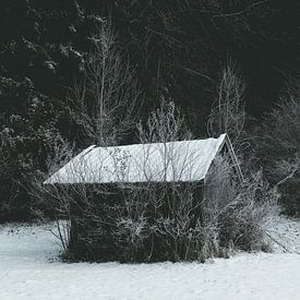 Hütte im Schnee mit Frost von Andreas Friedle