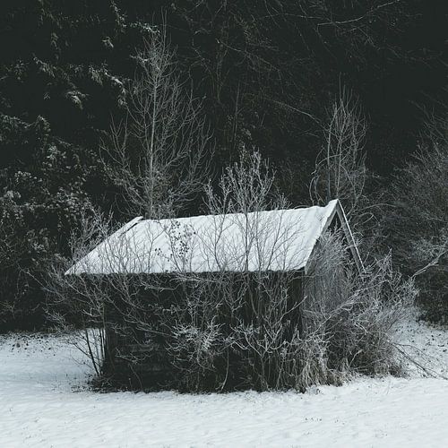 Hut in the snow with frost