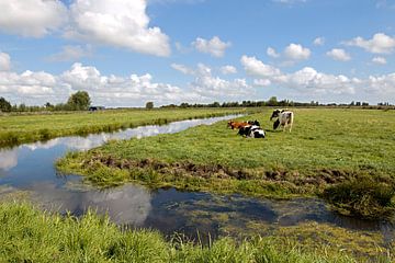 Nederlands landschap van W J Kok