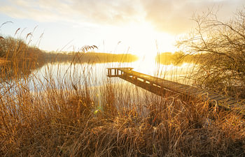 Steiger bij zonsondergang (Nederland)