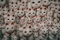 Chats chanceux à Tokyo, Japon