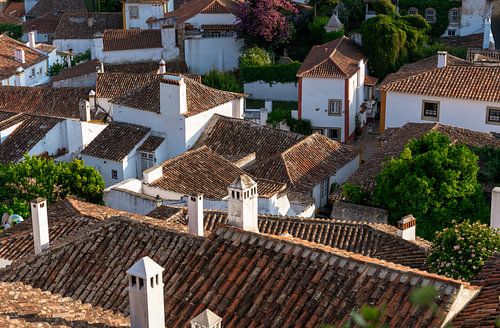View Across Rooftops Of Obidos