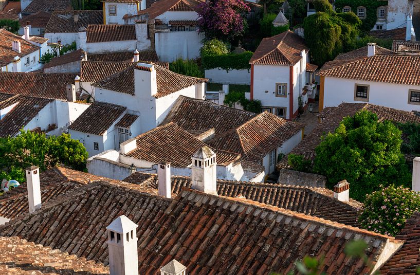 View Across Rooftops Of Obidos par Urban Photo Lab