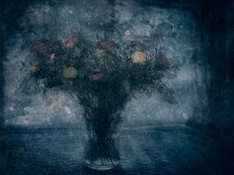 Winter serenade van Katarina Holmström