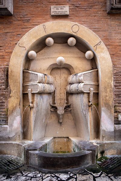 Rom - Brunnen der Bücher (Fontana dei Libri) von t.ART